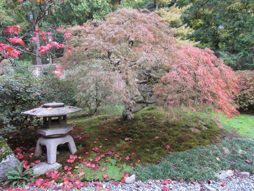japanese garden 1