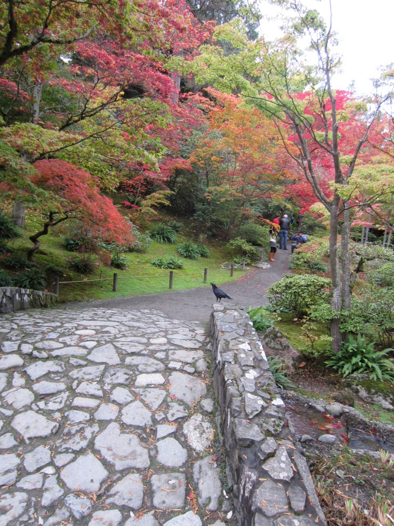 japanese garden 2