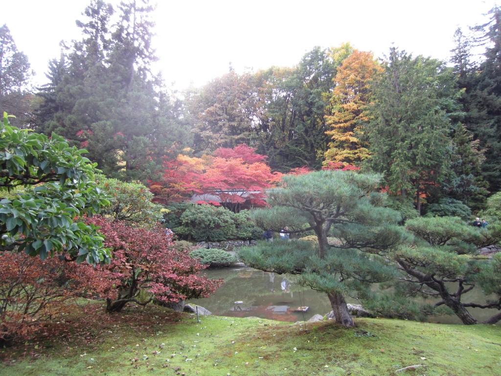 japanese garden 3