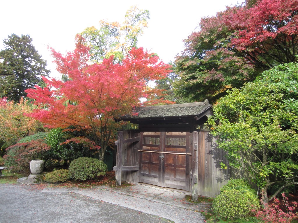 japanese garden 4