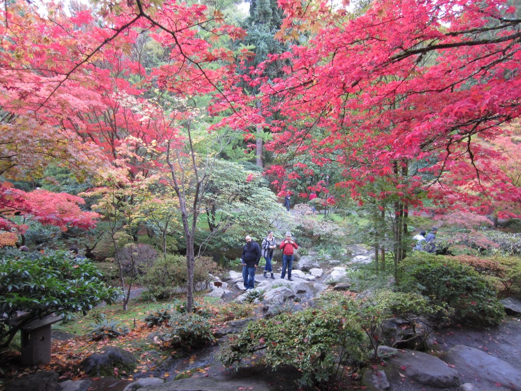 japanese garden 6