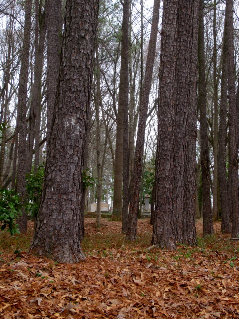 cemetery
