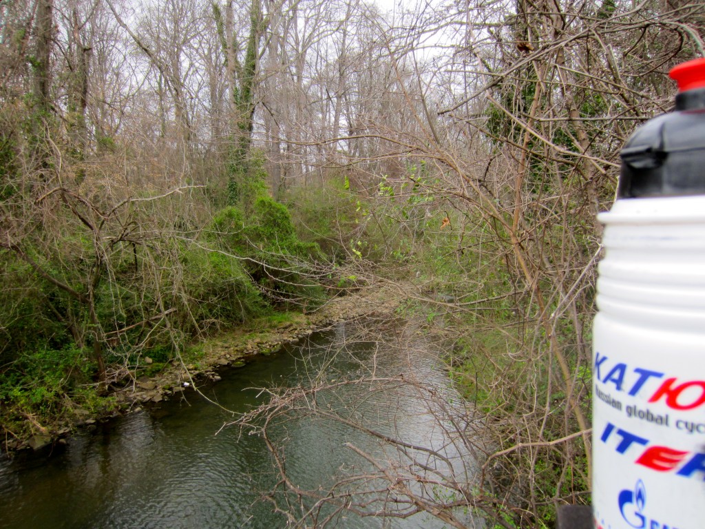 candler park path