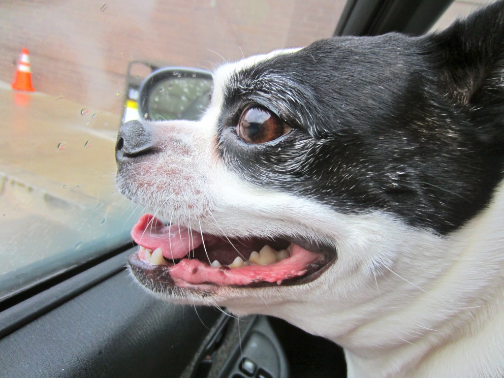 tak road trip
